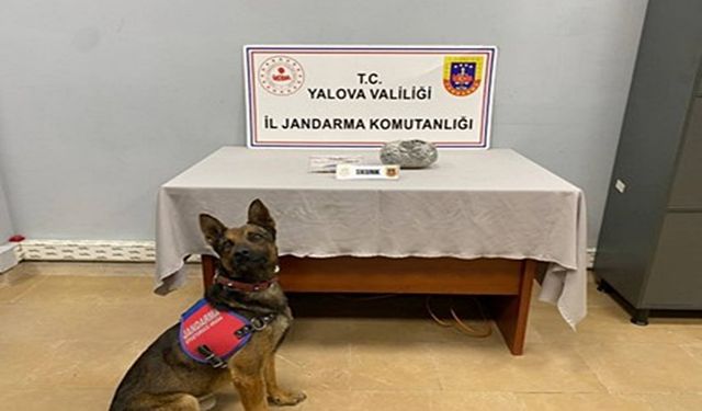 Yalova’da Uyuşturucu Operasyonunda 525 Gram Skunk Ele Geçirildi
