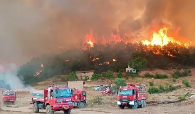 Eskişehir'deki orman yangınında 10 şehit