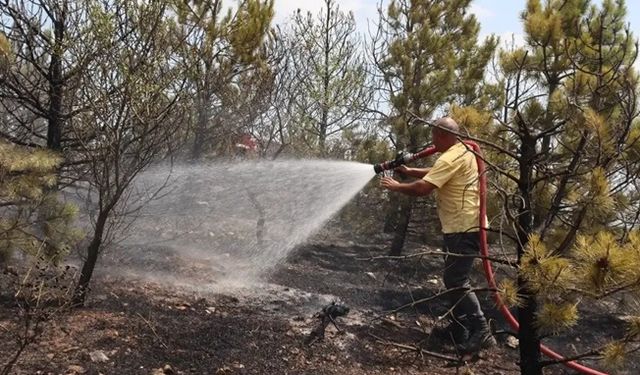 Amasya’da otluk alanda başlayan yangın ormana sıçradı: 20 dönüm alan küle döndü