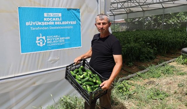Kocaeli Büyükşehir’in desteğiyle hasat iyi, verim yüksek