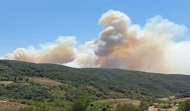 Kocaeli’de Orman Yangını Yerleşim Yerlerine Yaklaşıyor!