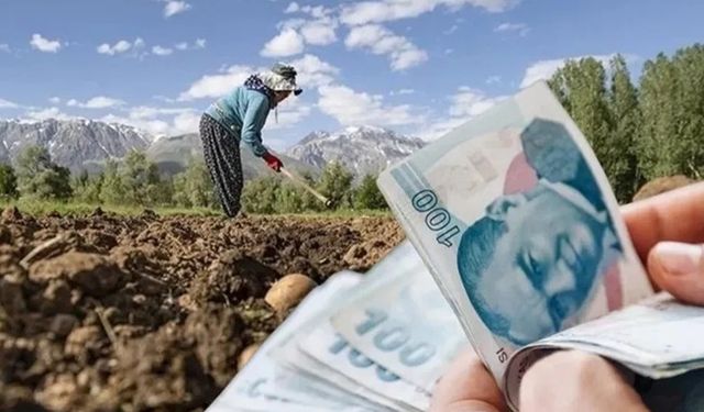 Kooperatiflere 4,5 milyar TL'lik kredi desteği