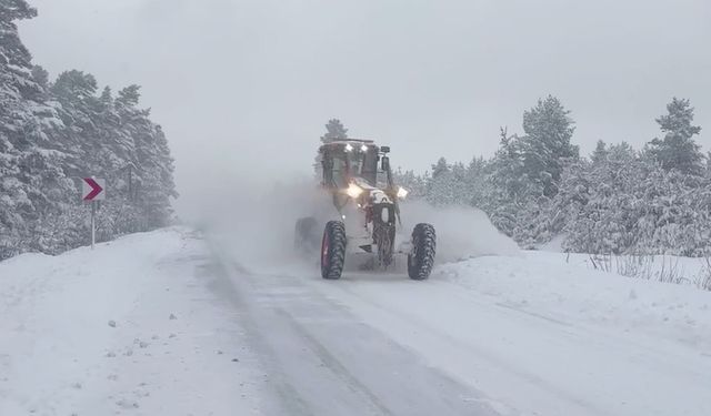 Doğu Anadolu’da kar nedeniyle 5 ilde 147 yerleşim yerine ulaşım kesildi