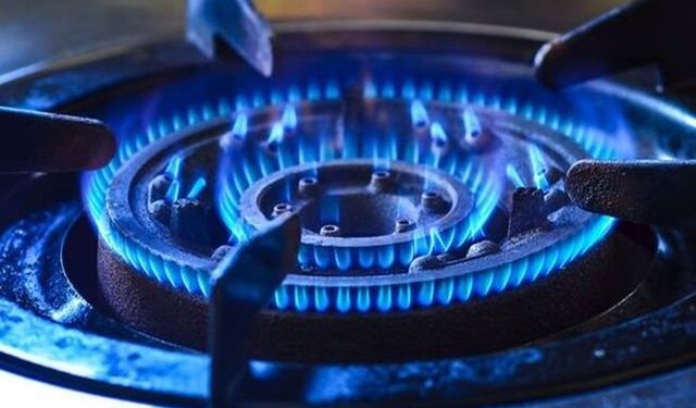 Doğal gaz tüketim desteğinde yılın ilk ödemesi yapıldı