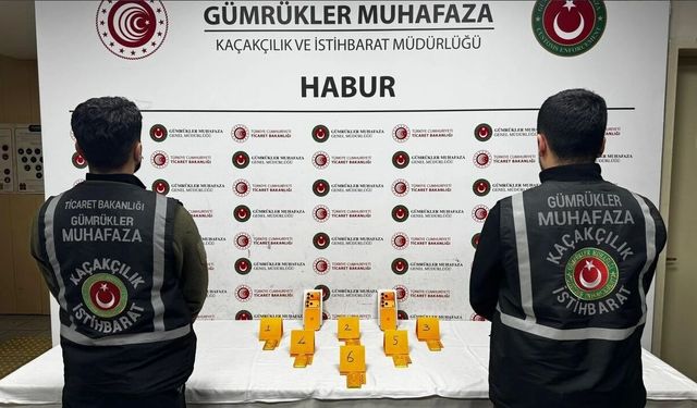 Habur Gümrük Kapısı’nda 41 kilogram altın ele geçirildi