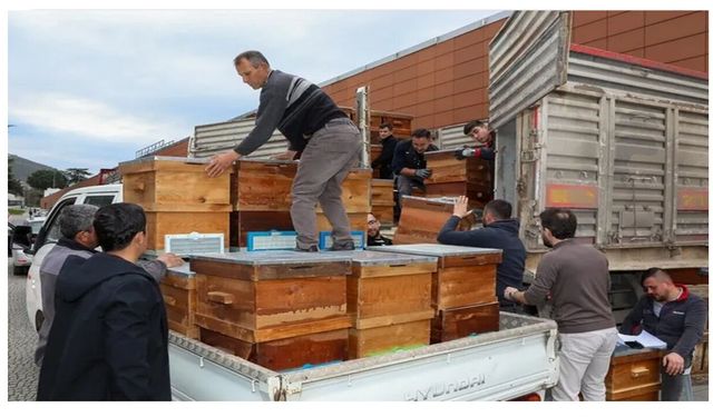Bursa'da arıcılık Büyükşehir'le canlandı