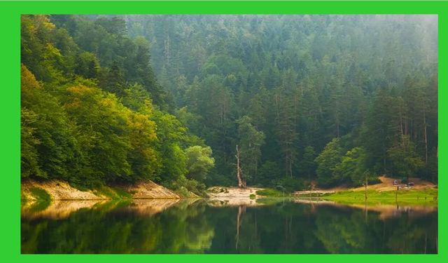 Milli parklar ve doğa korumada Kanun teklifi TBMM'de kabul edildi