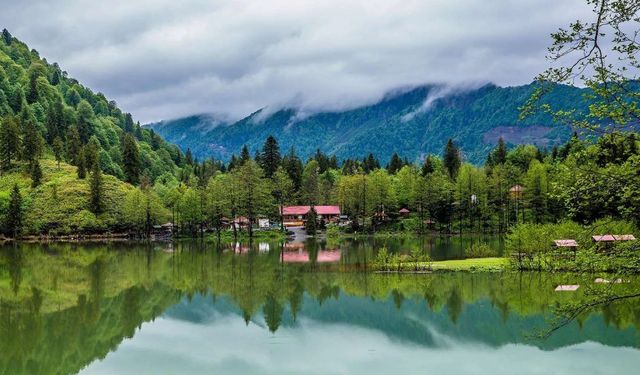 Milli Parklar Kanunu’nda Kaçak Yapıya Anında Yıkım ve Avcılığa Ağır Cezalar