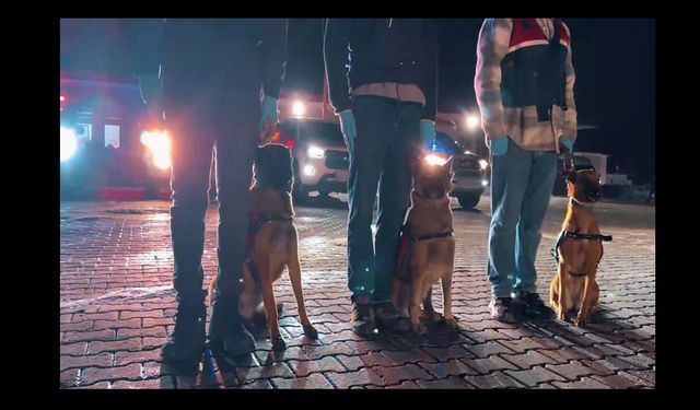 İstanbul Anadolu Yakası’nda Organize Suç Örgütü Operasyonu: 5 Gözaltı