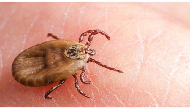 KKKA şüphesi: 21 yaşındaki genç hayatını kaybetti