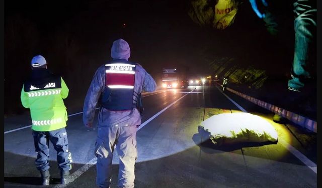 Van ve Hakkari’de operasyon, 446 kg uyuşturucu ele geçirildi