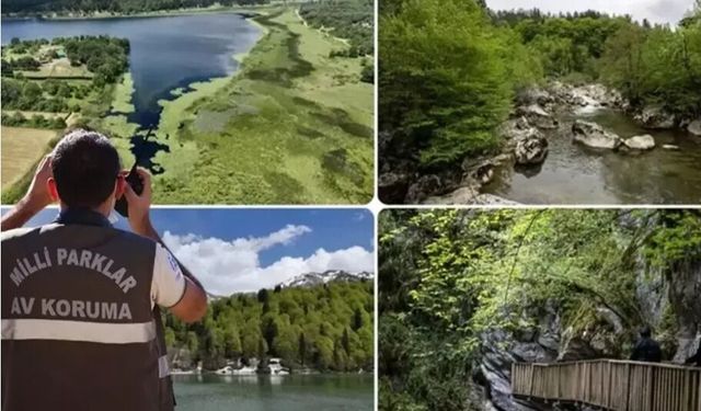 Doğa Koruma ve Milli Parklar Uzmanlığı için 'tez' zorunluluğu