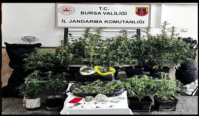 Bursa’da Uyuşturucu Operasyonu: İklimlendirme Sistemi ve Kilo Bazında Esrar Ele Geçirildi