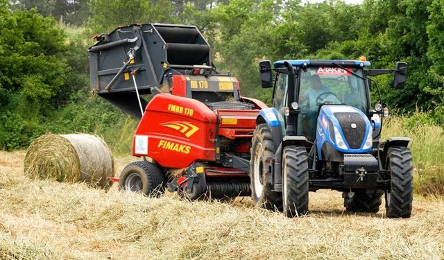 Kocaeli’de “süt otu” hasadı başladı