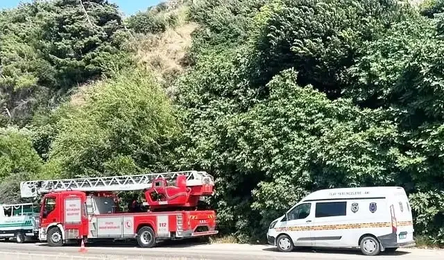 Hatay'da ağaca asılı ceset
