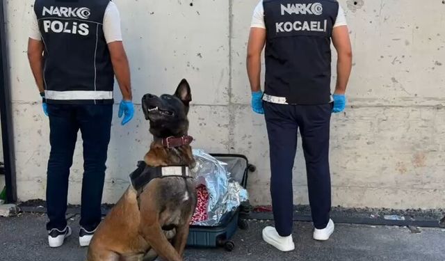 Gebze’de Valizden 21 Bin Sentetik Ecza Çıktı: 2 Şüpheli Tutuklandı