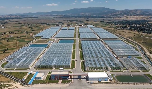 Simav Jeotermal Isıtmalı Sera Organize Tarım Bölgesi Üretime Başlıyor