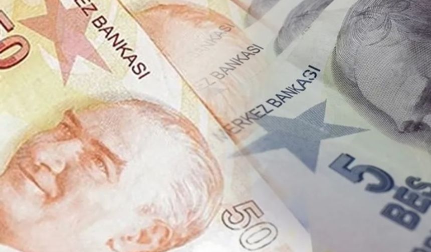 5 ve 50 TL'lik yeni banknotlar piyasada