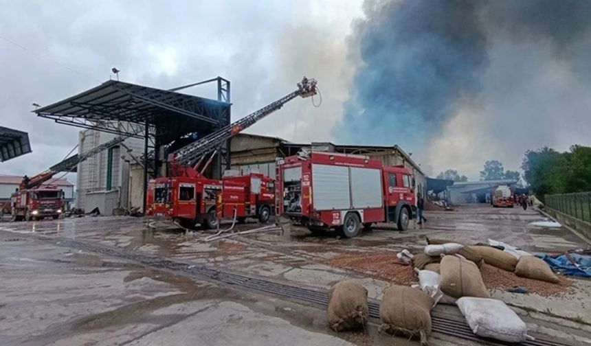 Sakarya’da fındık fabrikasında yangın
