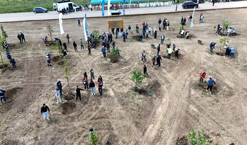 Kocaeli’nde binlerce fidan toprakla buluştu
