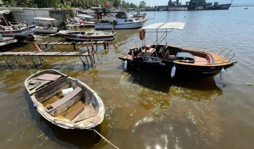 Deniz kahverengiye döndü! Uzmanlar İzmit Körfezi’ni inceliyor