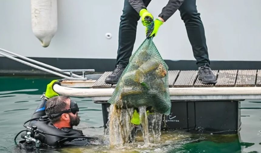 5 ton çöp toplandı, güneş enerjisi kullanımı arttı