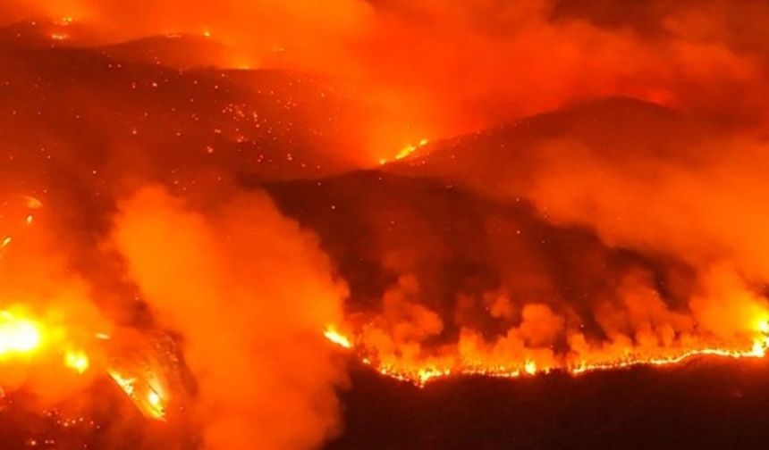 Bursa’daki orman yangını 4. gününde: Havadan ve karadan yoğun müdahale