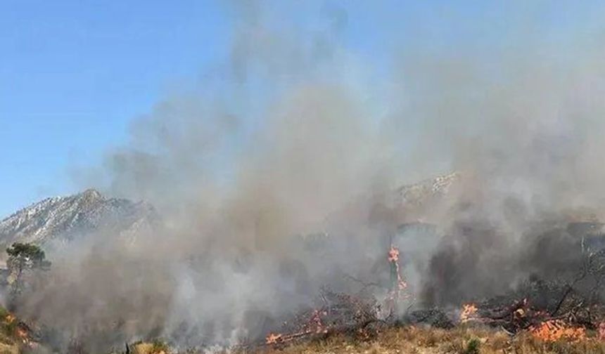 Çankırı’nın Yapraklı ilçesinde orman yangını meydana geldi!