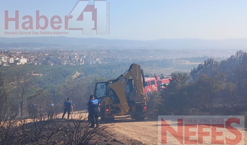 Gebze'de Orman Yangını Paniğe Yol Açtı: Ekipler Seferber Oldu