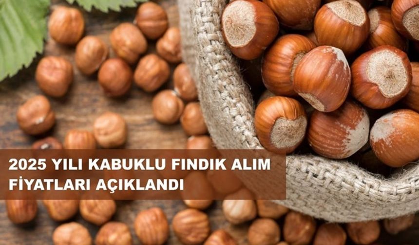 Fındık Taban Fiyatı Açıklandı; Fiyat 195 Lira...