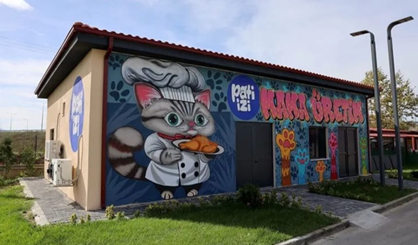 Sakarya'da yemek atıkları mamaya dönüşüyor