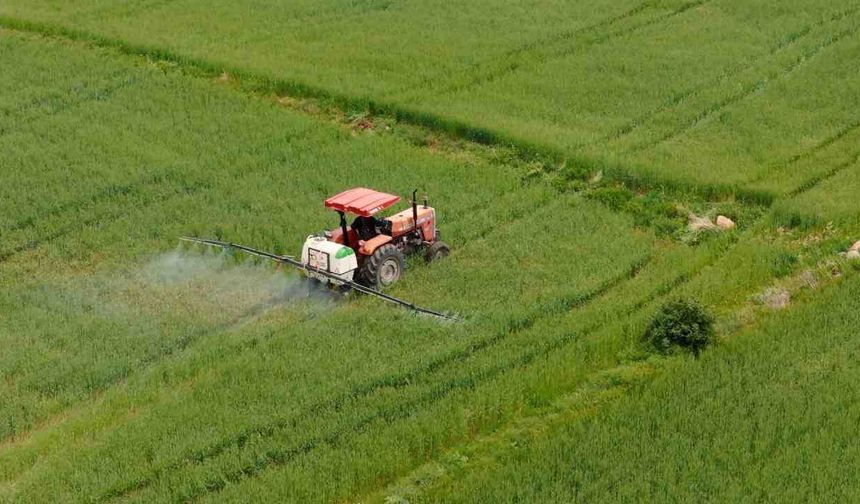 Tarımsal destek ödemesi hesaplara yatıyor