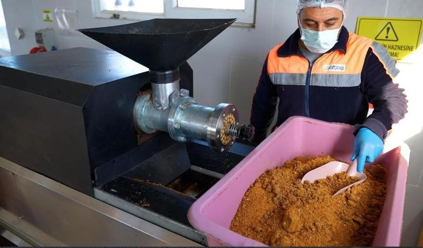 Didim’de atıklar mamaya dönüşüyor