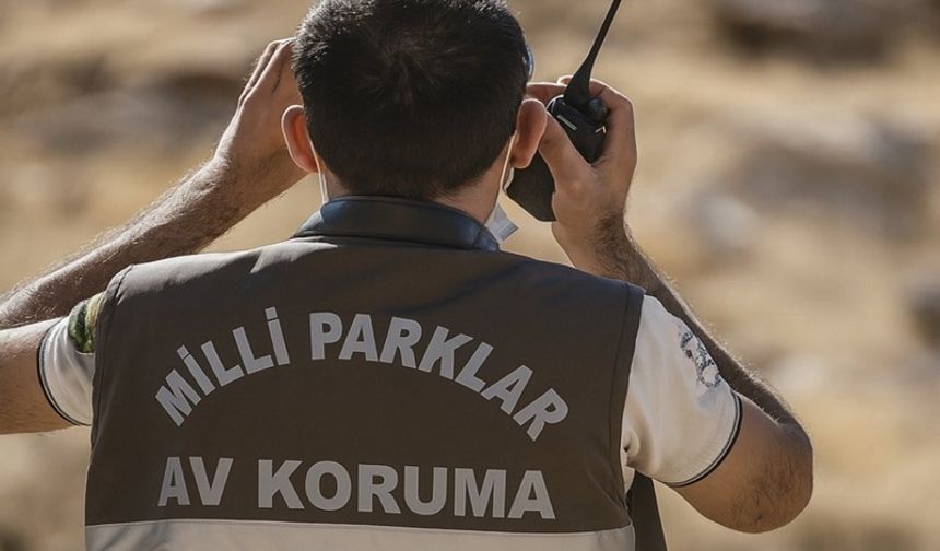 Kayseri’de Koruma Altındaki Yaban Keçisini Vuran Avcıya 953 Bin TL Ceza