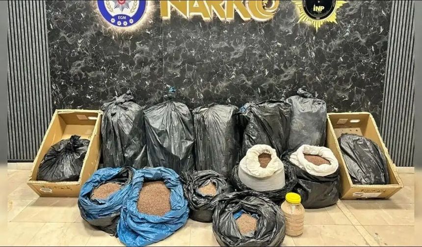 İstanbul’da kahveye emdirilmiş 370 kilo uyuşturucu yakalandı