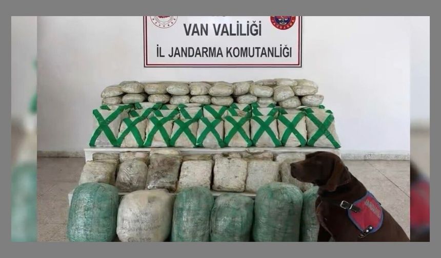 Van ve Hakkari’de Uyuşturucu Operasyonu!
