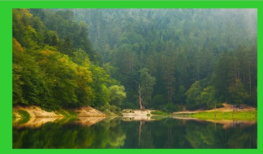 Milli parklar ve doğa korumada Kanun teklifi TBMM'de kabul edildi