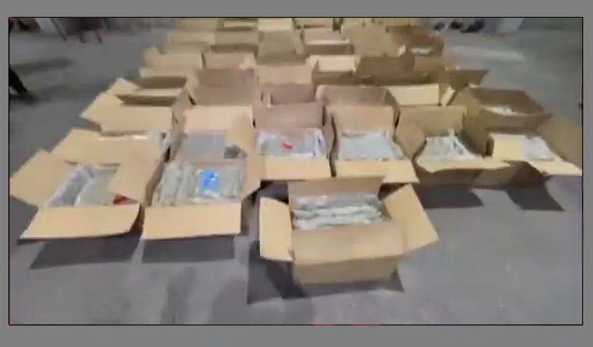 İstanbul Küçükçekmece’de 527 kilo skunk ele geçirildi