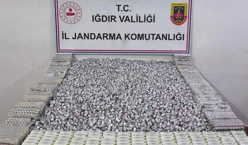 Iğdır’da 56,7 milyonluk kaçak botoks operasyonu