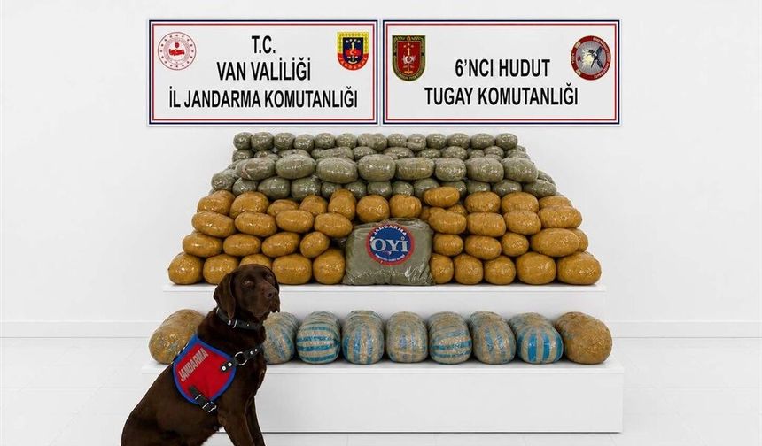 Van’da  291 Kilo Esrar Ele Geçirildi