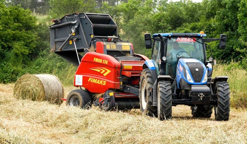 Kocaeli’de “süt otu” hasadı başladı