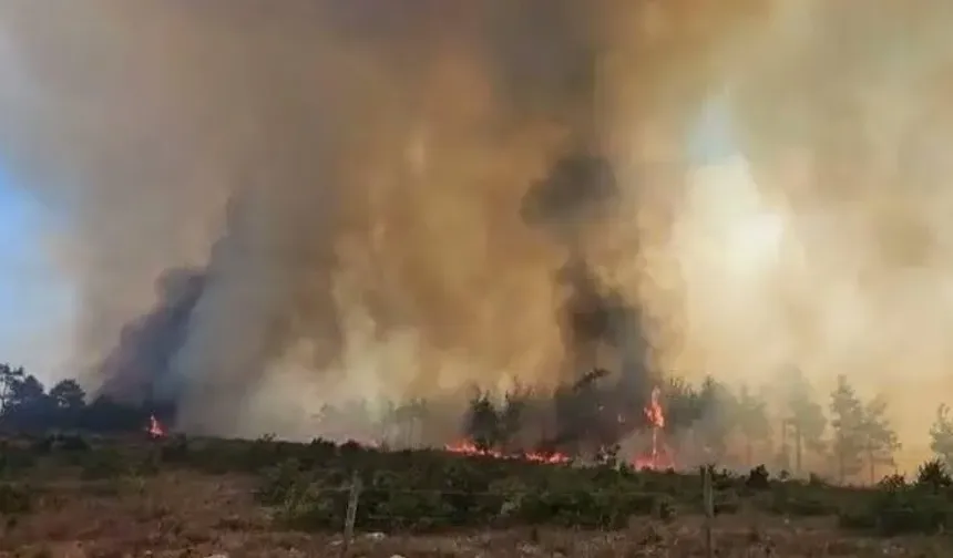 Kaş'ta çıkan orman yangınına yoğun müdahale