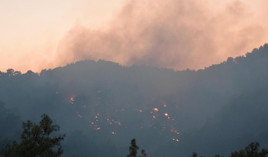 Kemer’de Çıkan Orman Yangını Ekiplerin Müdahalesiyle Kontrol Altına Alındı