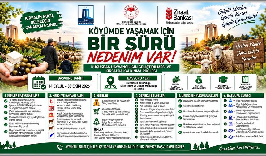 Çanakkale’de Küçükbaş Hayvancılığa Dev Destek